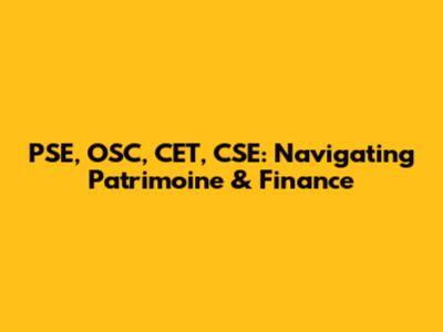PSE, OSC, CET, CSE: Navigating Patrimoine & Finance